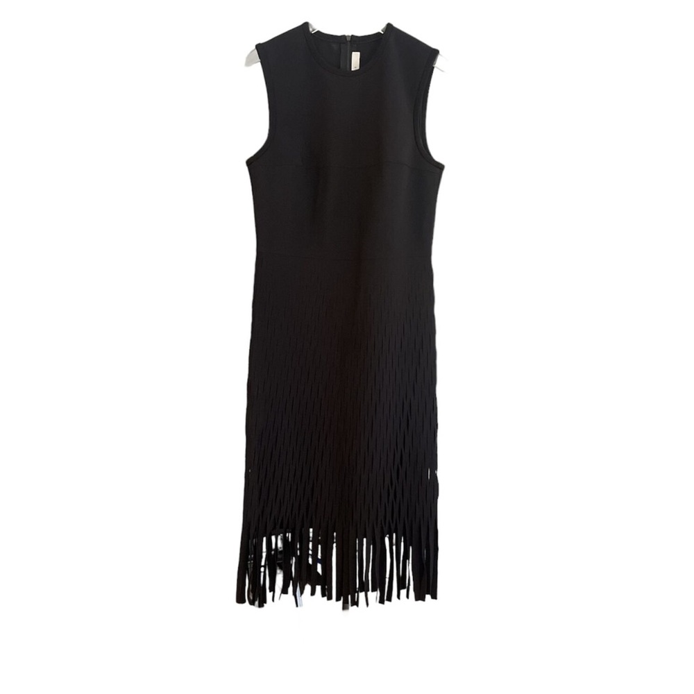 Dion Lee Black Straight Fringe Dress